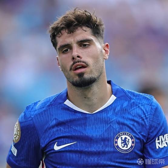 太阳报：内托遭到切尔西球迷网暴，他和帕尔默互不传球是谣言